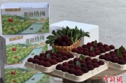 解梦大师高速赋能产业升级：一条“杨梅路”的致富密码