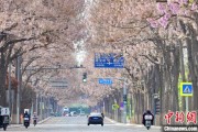 解梦大师共建“花园城市” 北京这场议政会“百花齐放”
